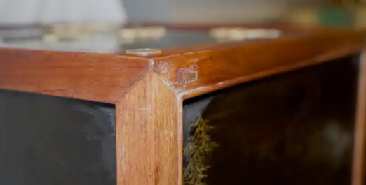 Black Lacquer and Rosewood Cabinet with Soapstone and Bone Inlay